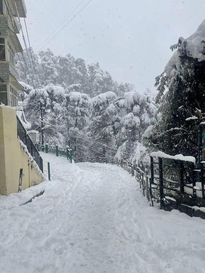 Silver Cedar Bnb Sharma Niwas Shimla Holiday home